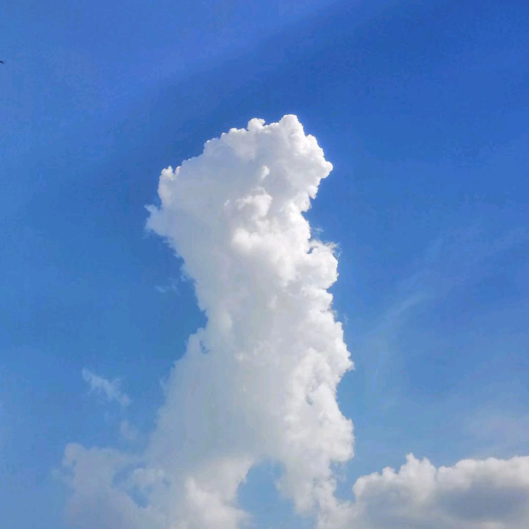 降灾