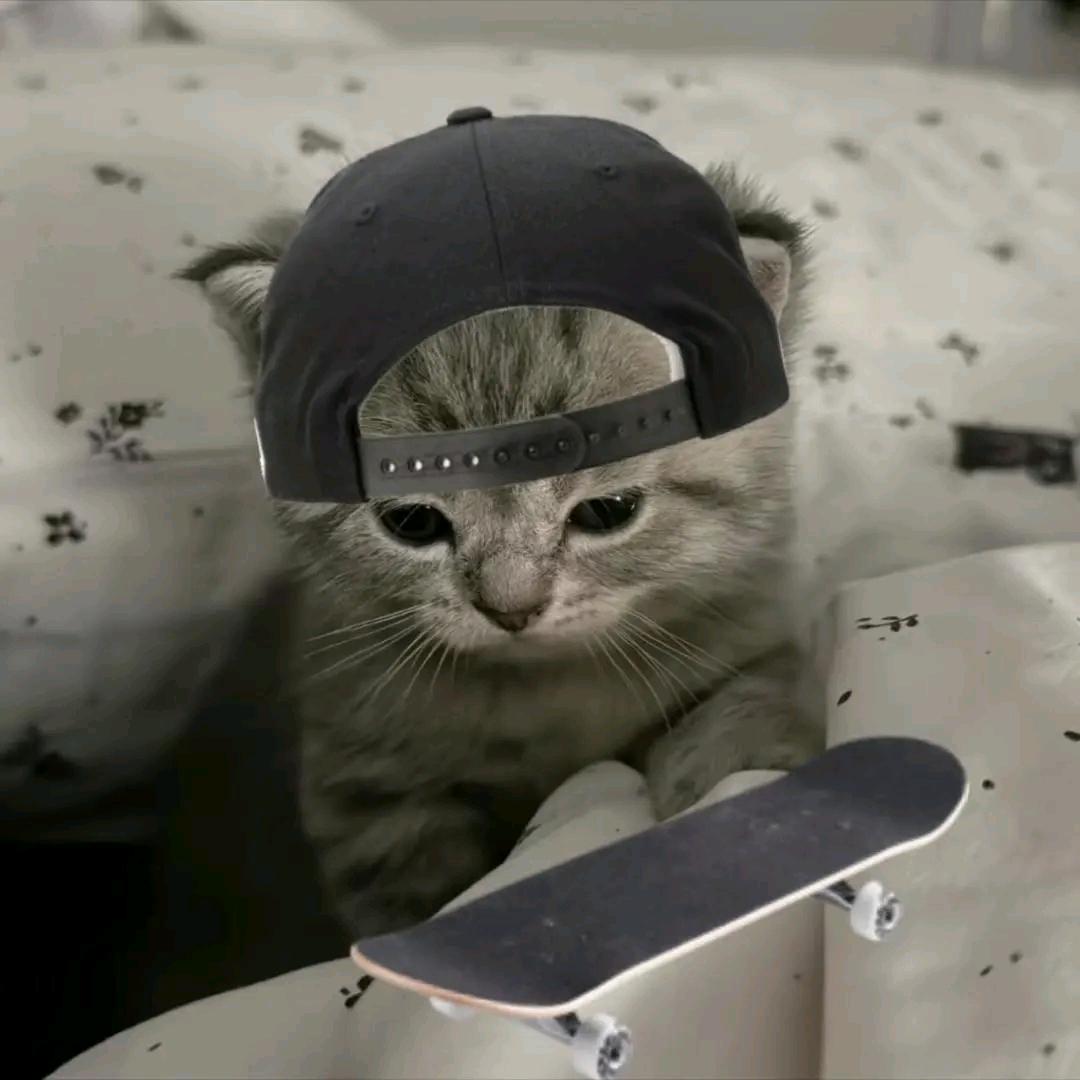 希留（三角洲）