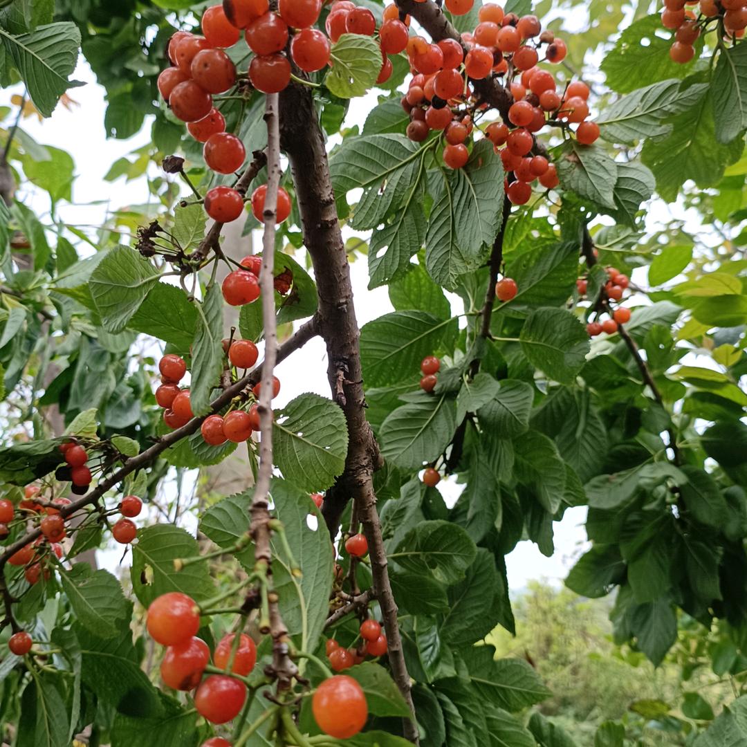 闲暇时光