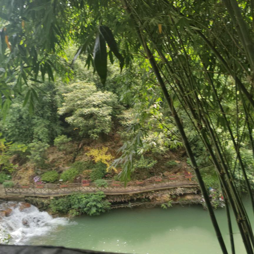 小玉