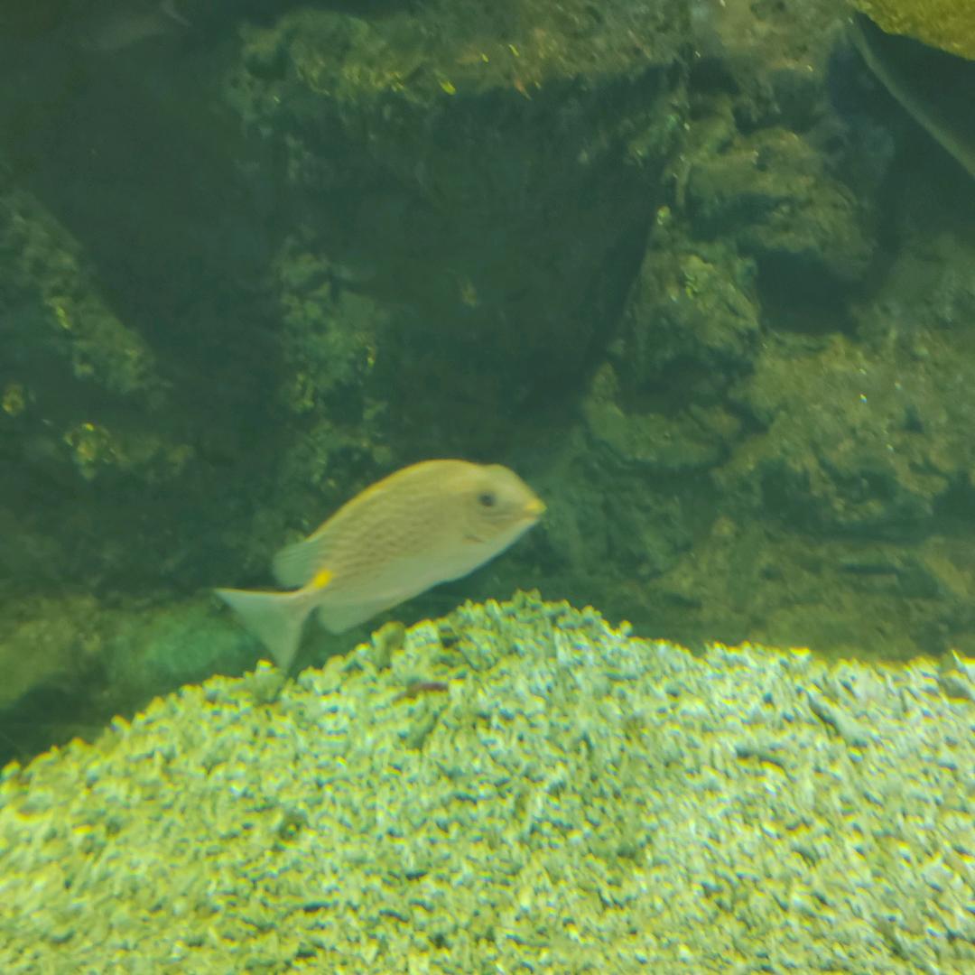 傍晚的风