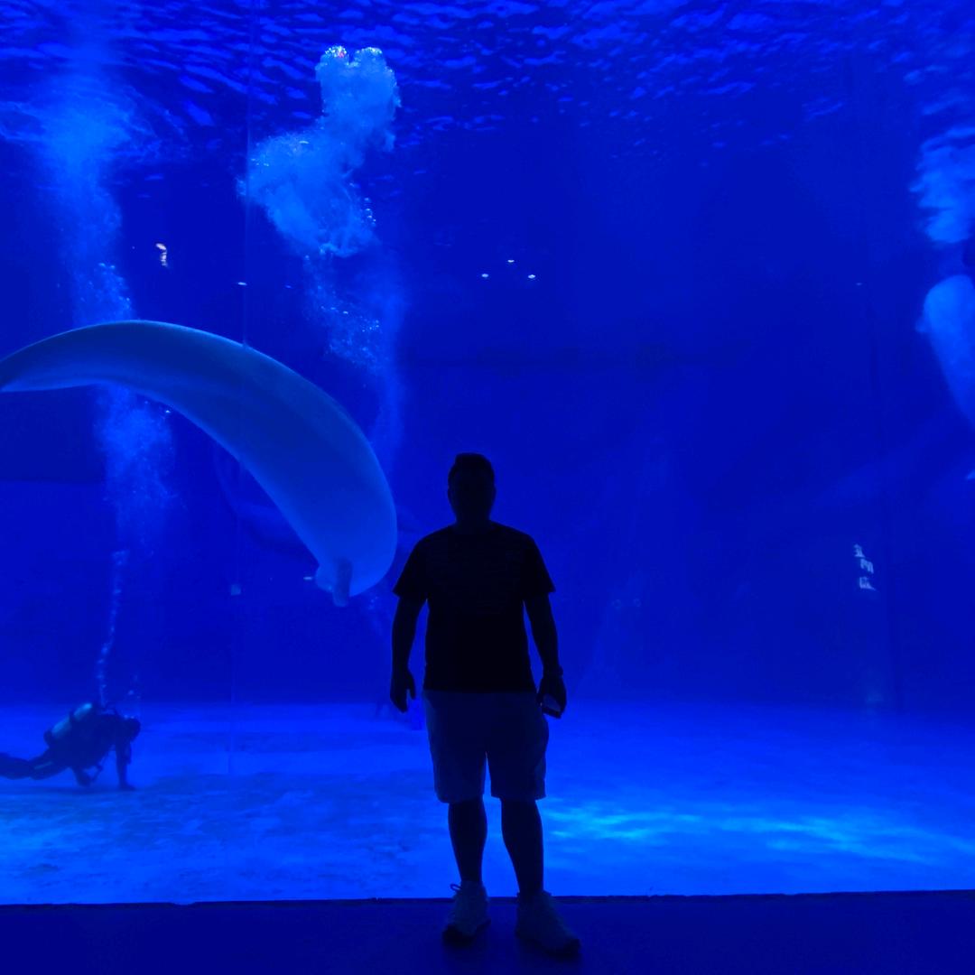 一直在路上的张先生