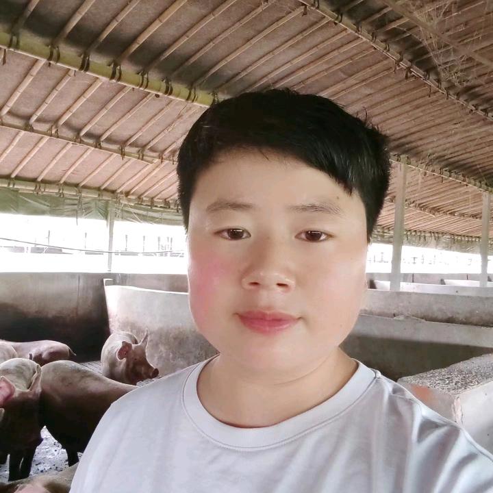 @大郭养猪