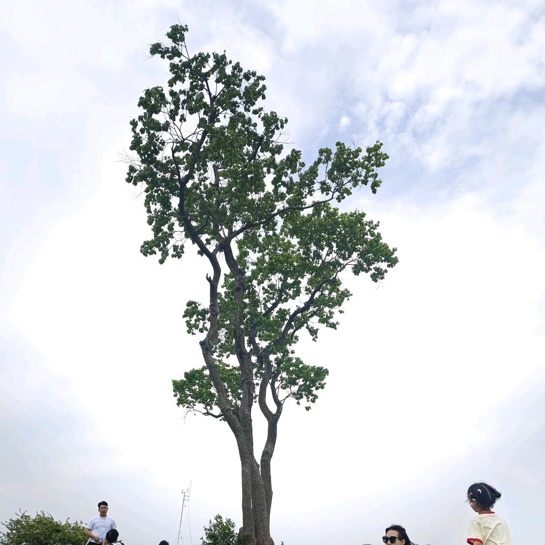 风起时