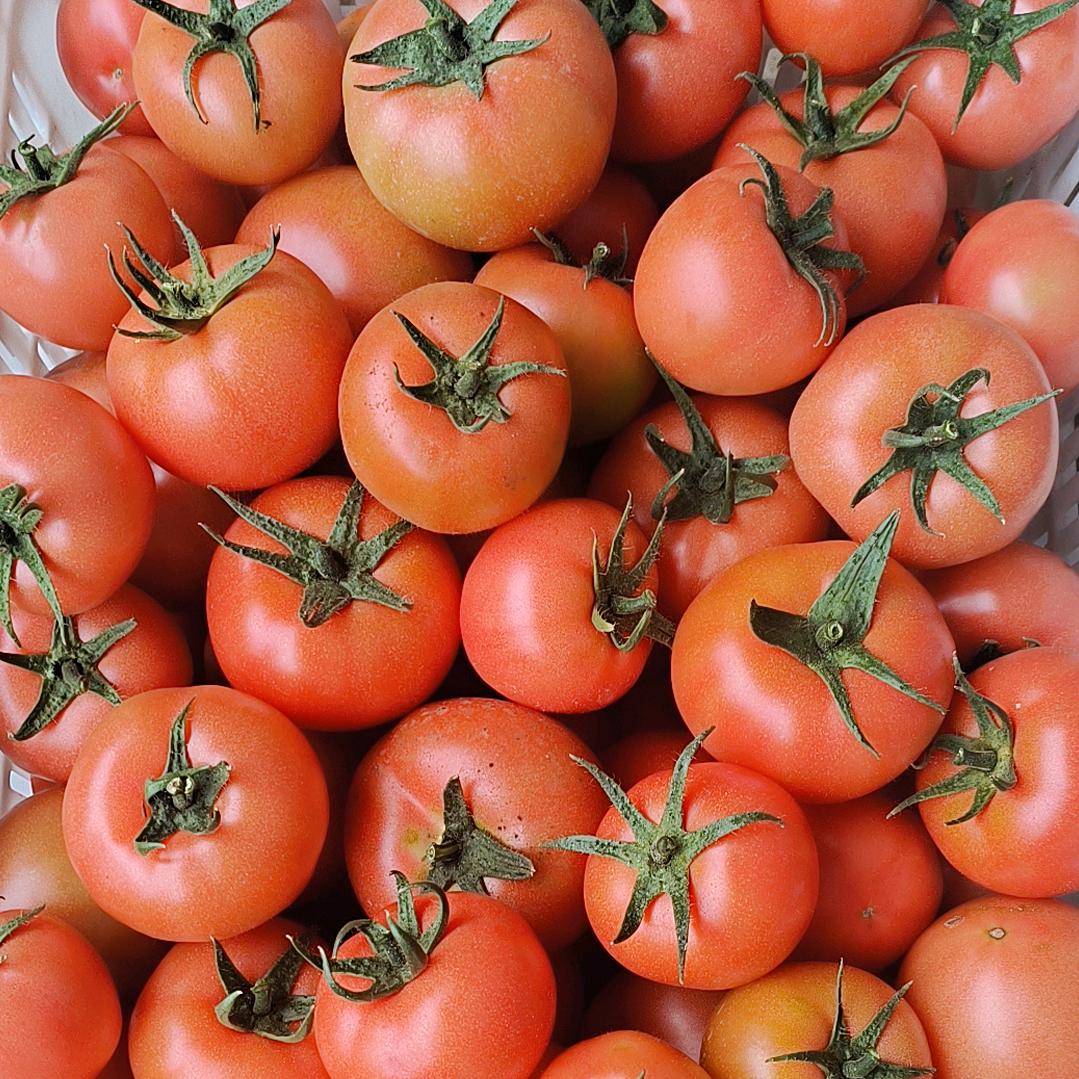 炒面，土家烧饼