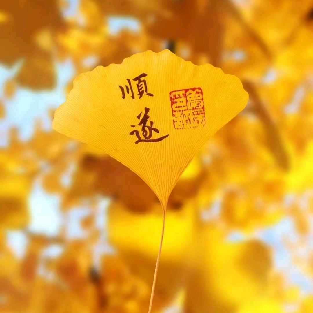 风中的云