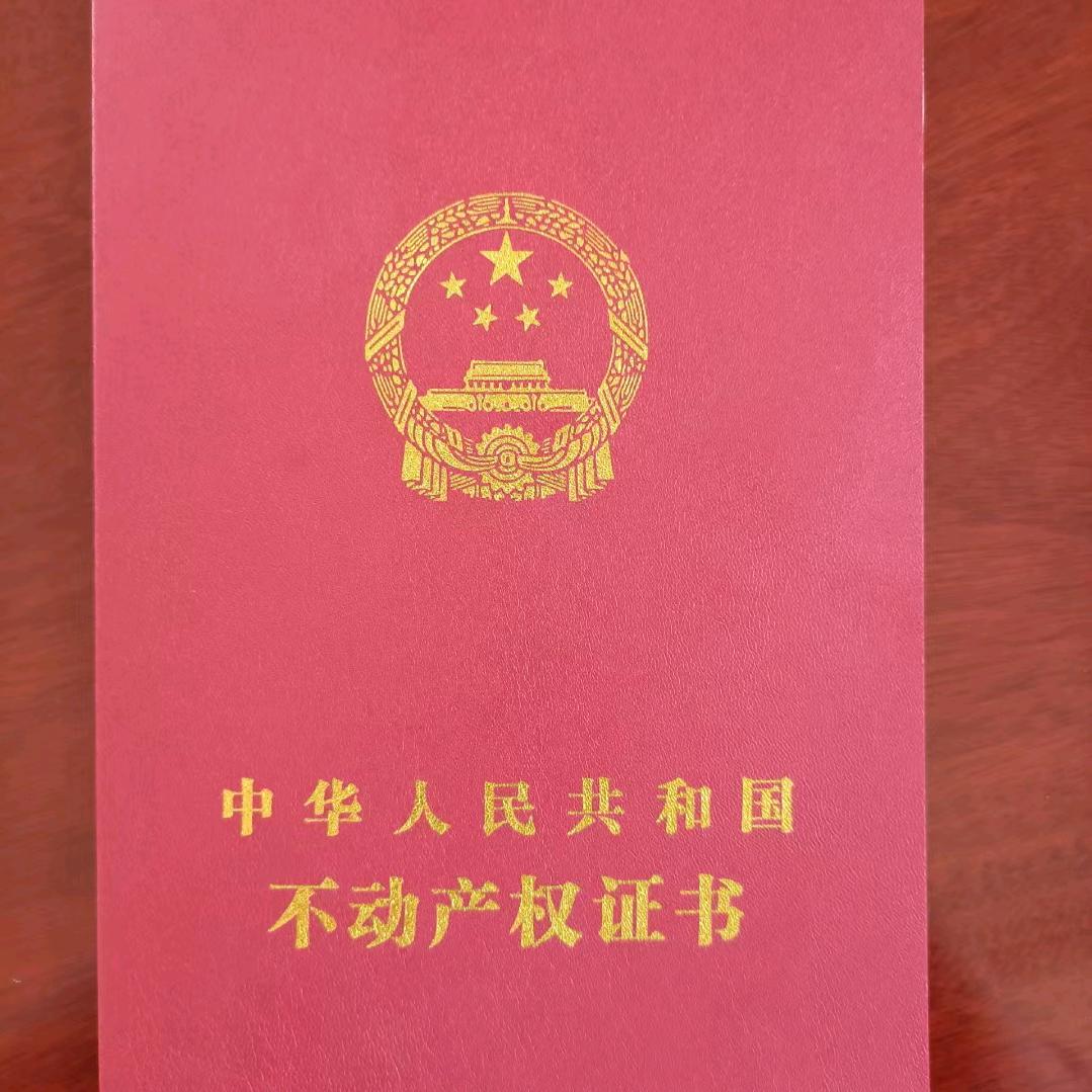 天津菲迪 窦峰