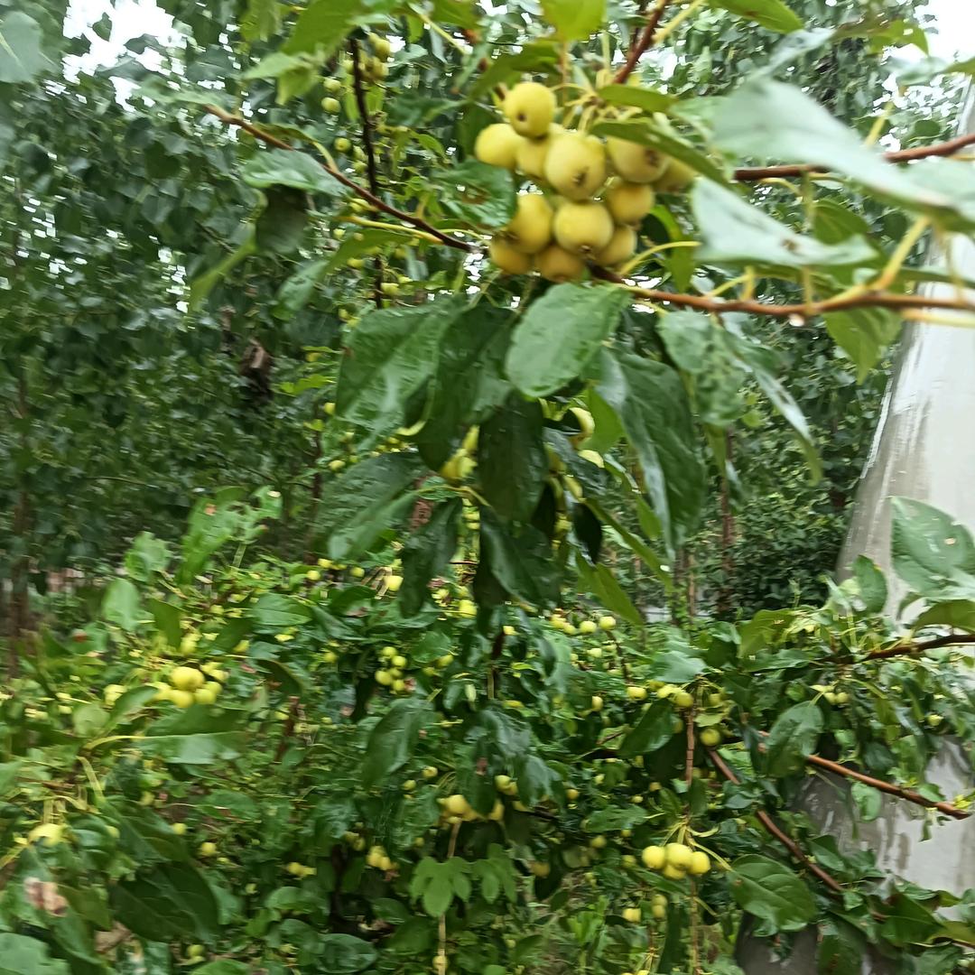 改变命运，相信自己
