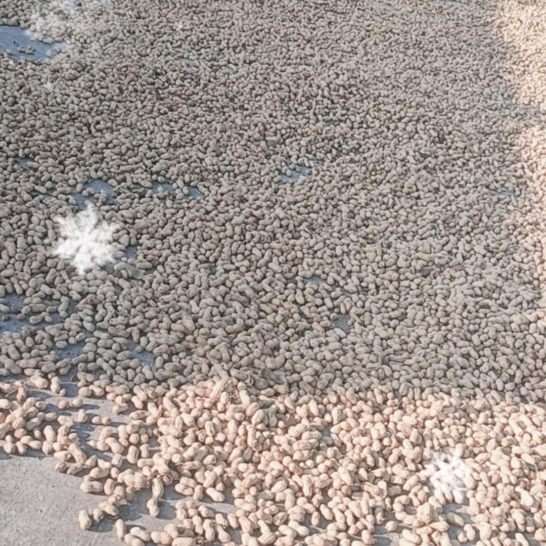 用户6136675238388