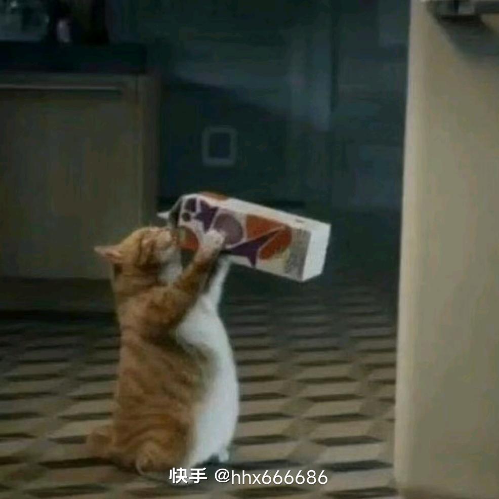 小团团OVO