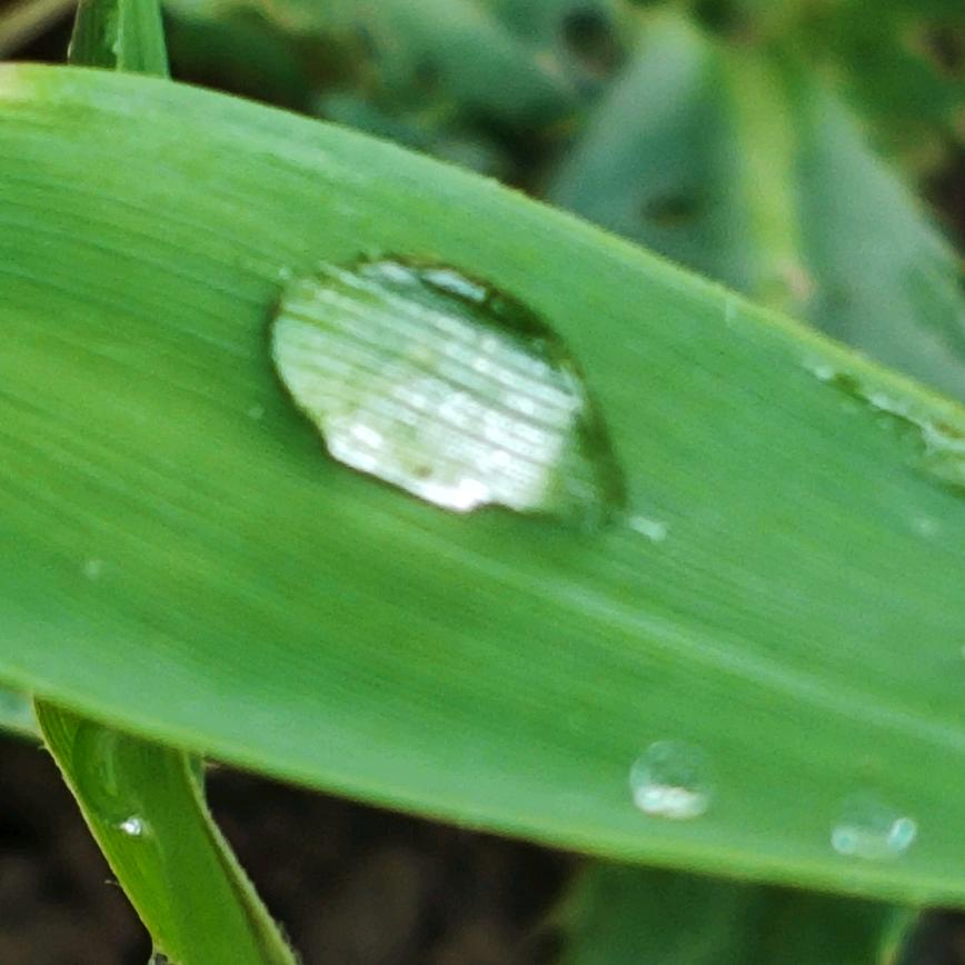 .ℒℴ執ᮩꦿ唸ᮩvℯ.