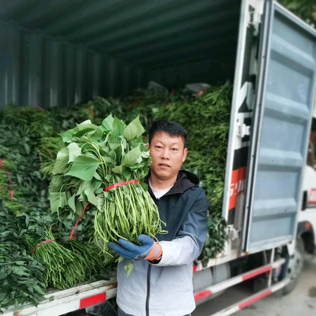 开封市祥符区庆宽农作物种植农民专业合作社