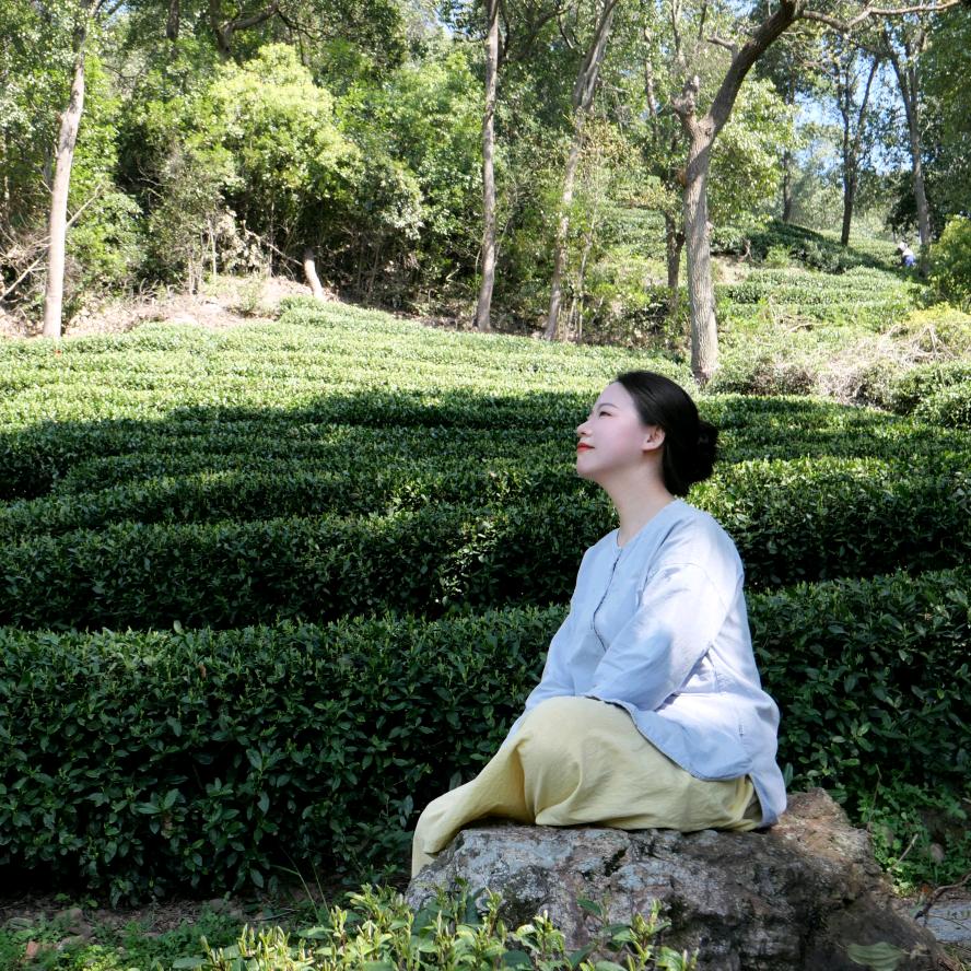 维维的茶桌