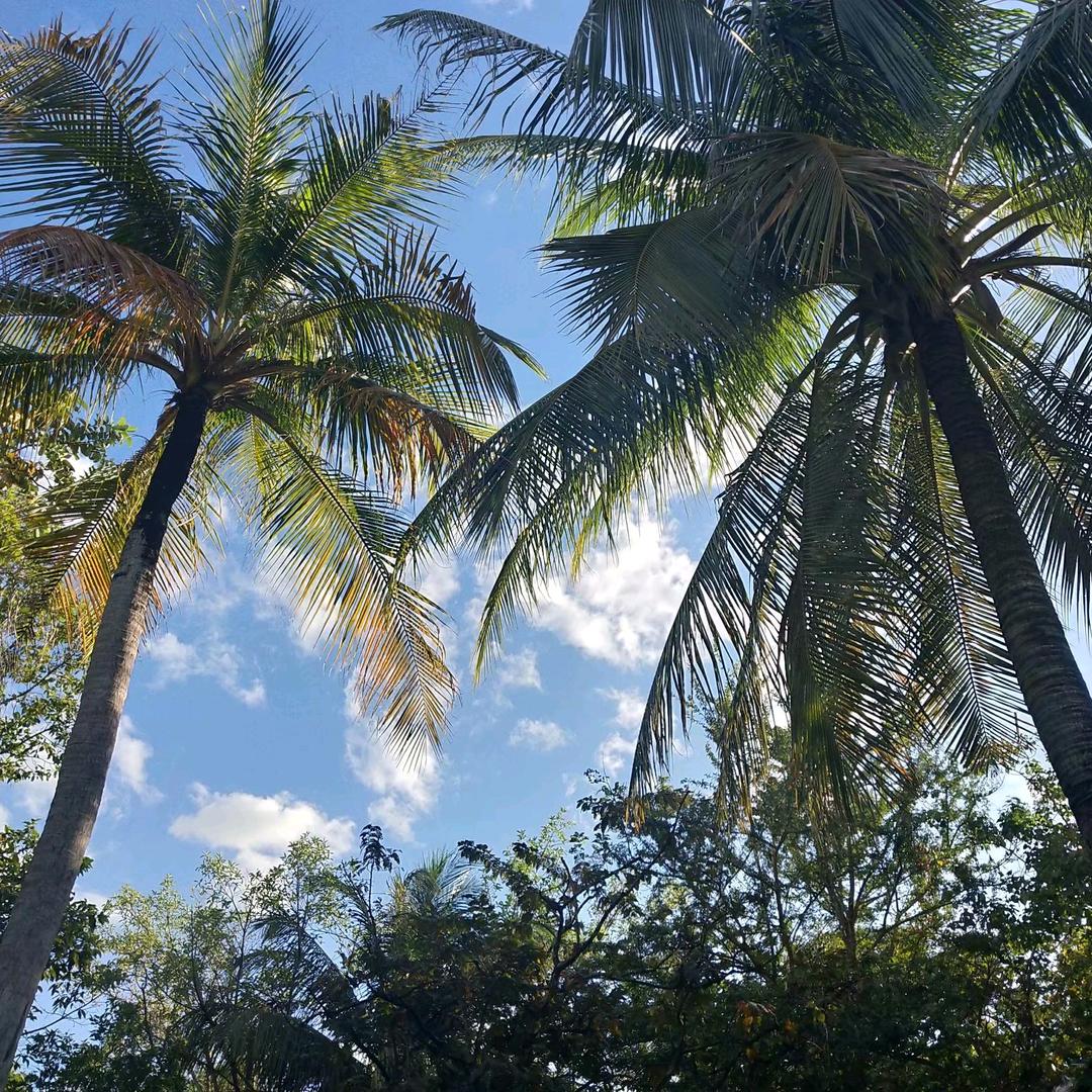 🦋ꦿ໊余生᭄🕊随心᭄ꦿᩚ٭