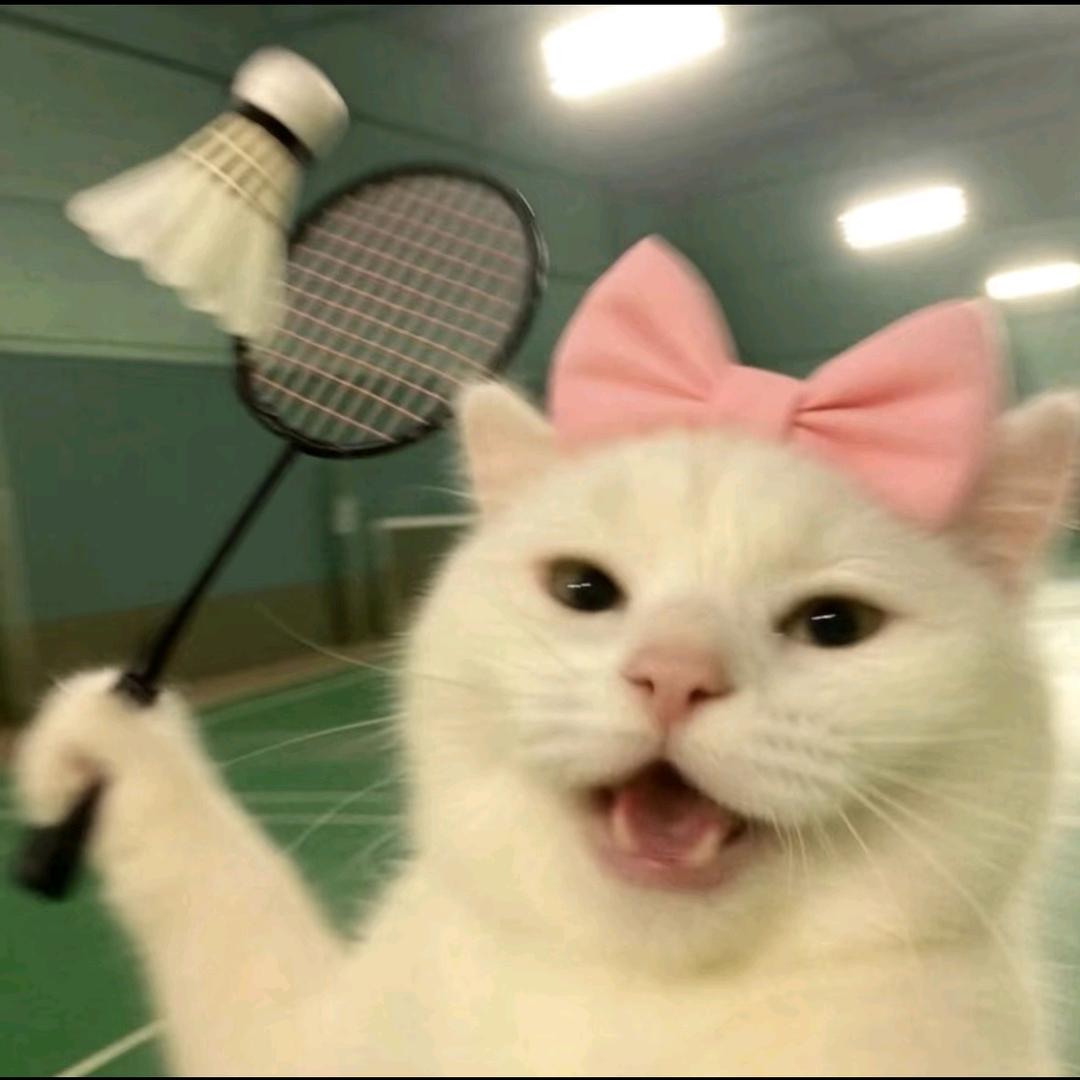 吃不饱的小小胃