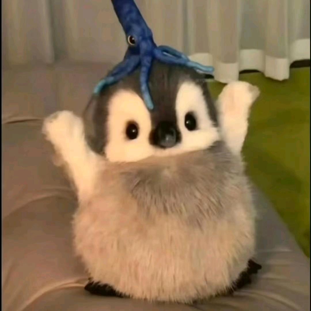 暇米糖_