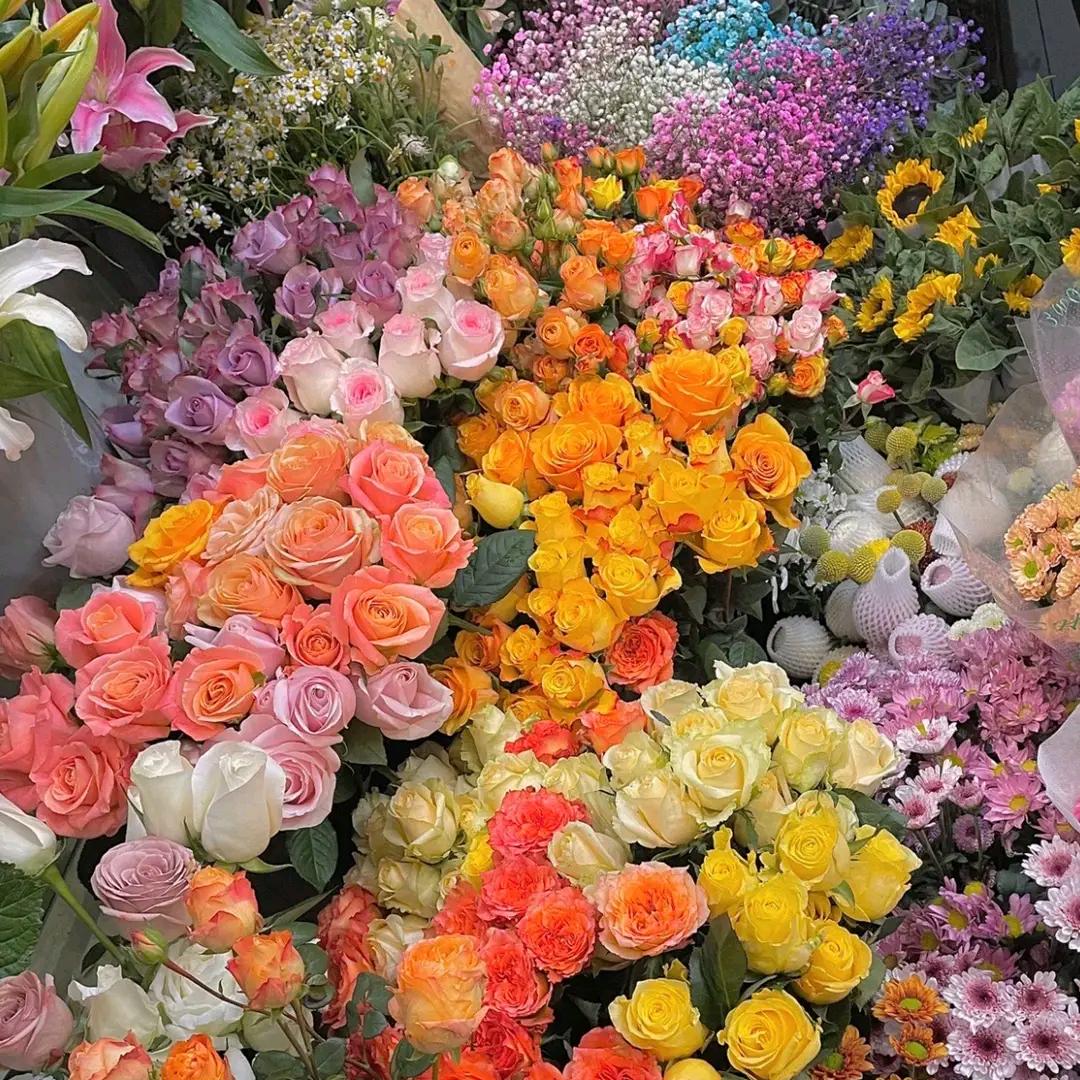 去年花开