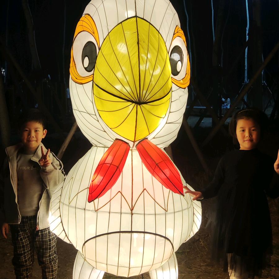 向你们学习
