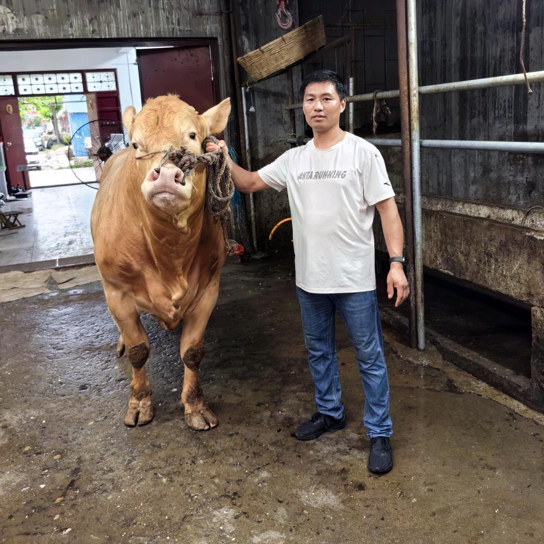 油田周口牛肉汤菜馆