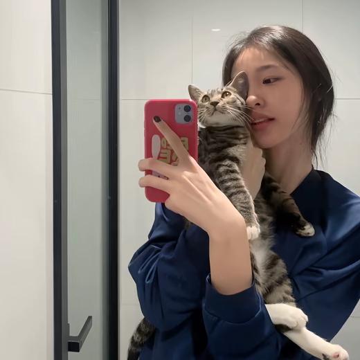 加菲猫的甜