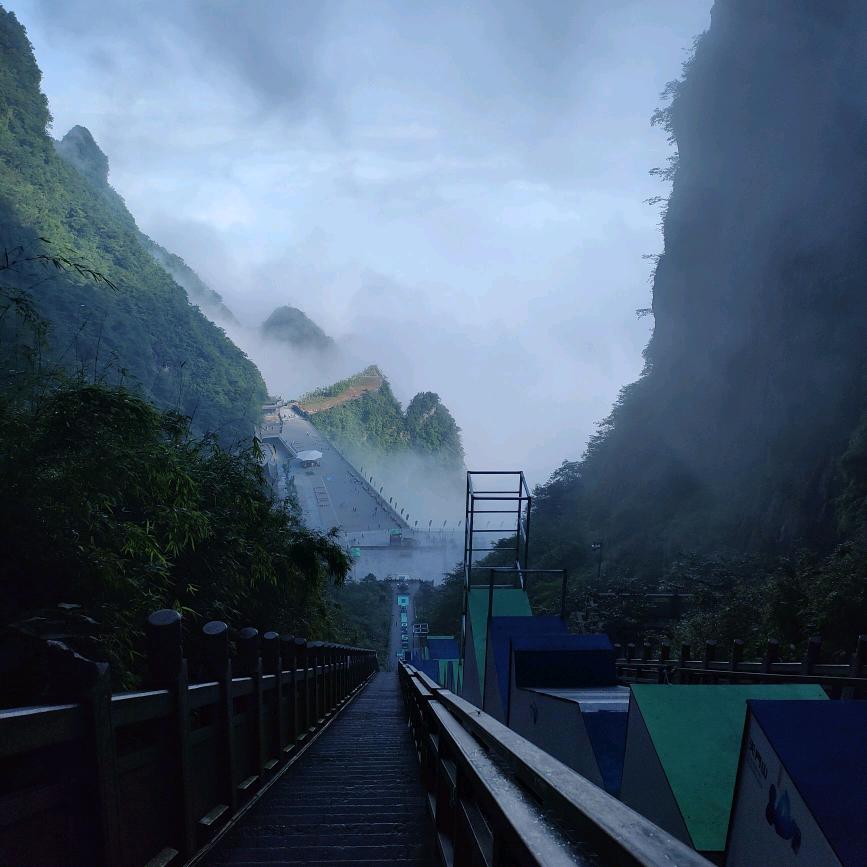 梦中之道