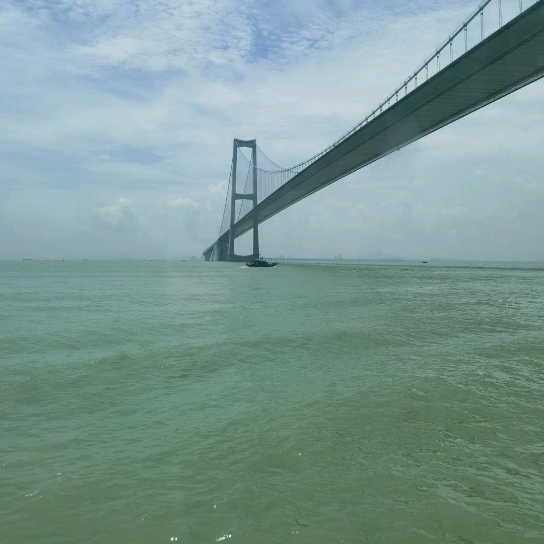 周大少