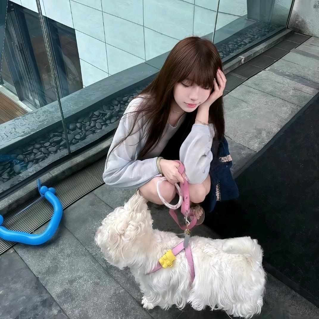 依赖