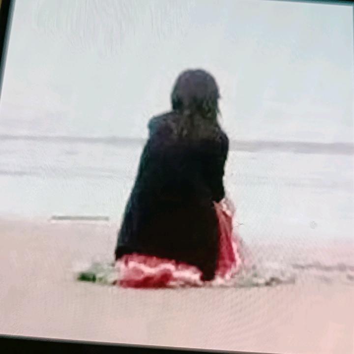 柚子十字绣