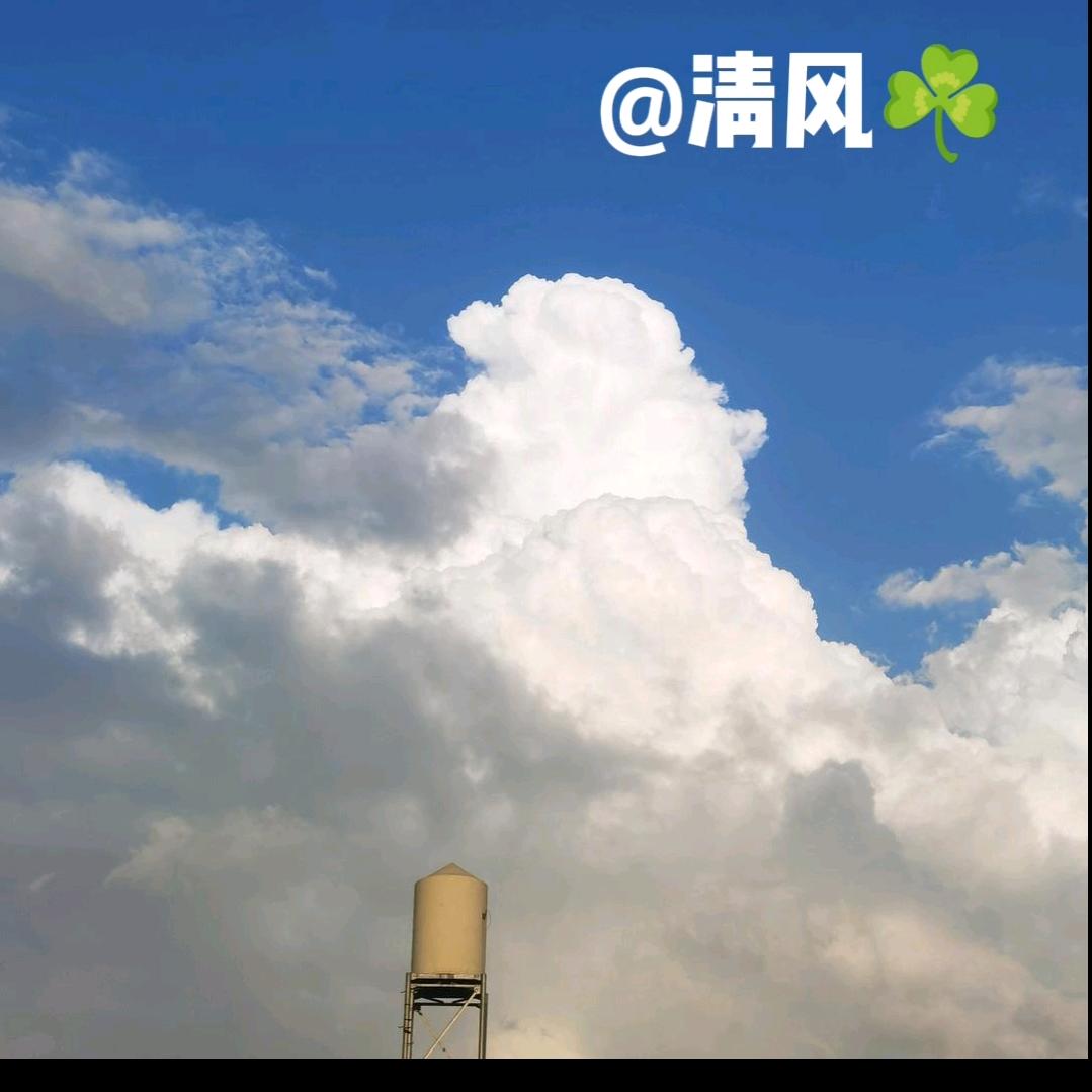 清风☘️