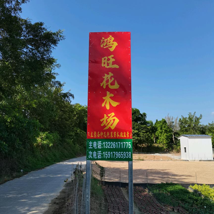 鸿旺花卉