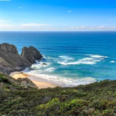 怀仁市源森逸居家具官方号