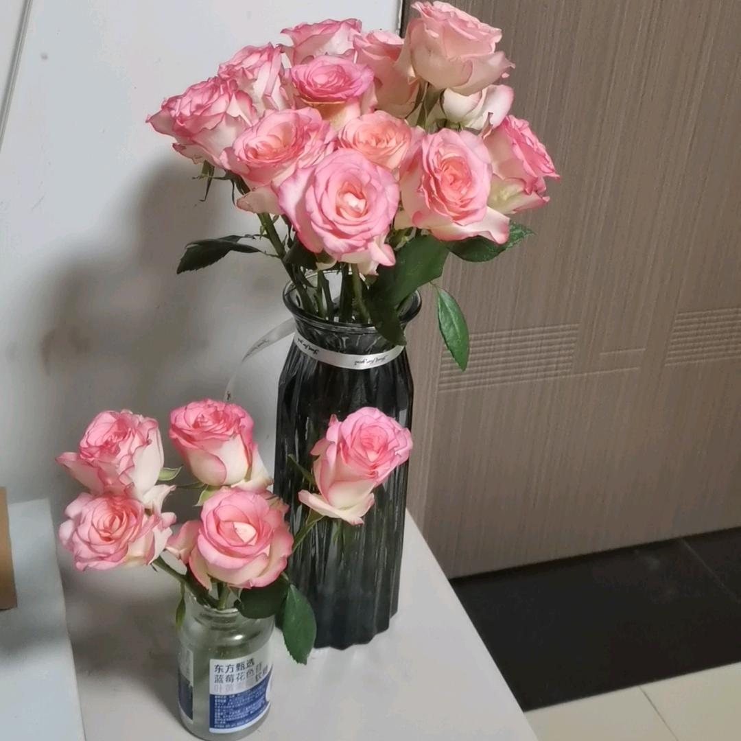 丑八怪