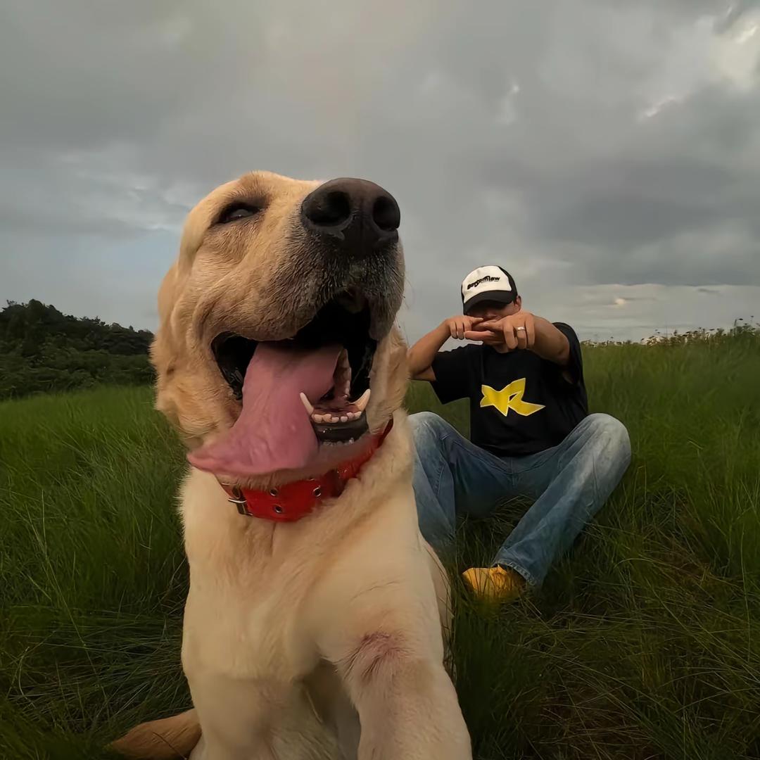 我也想登临绝巅