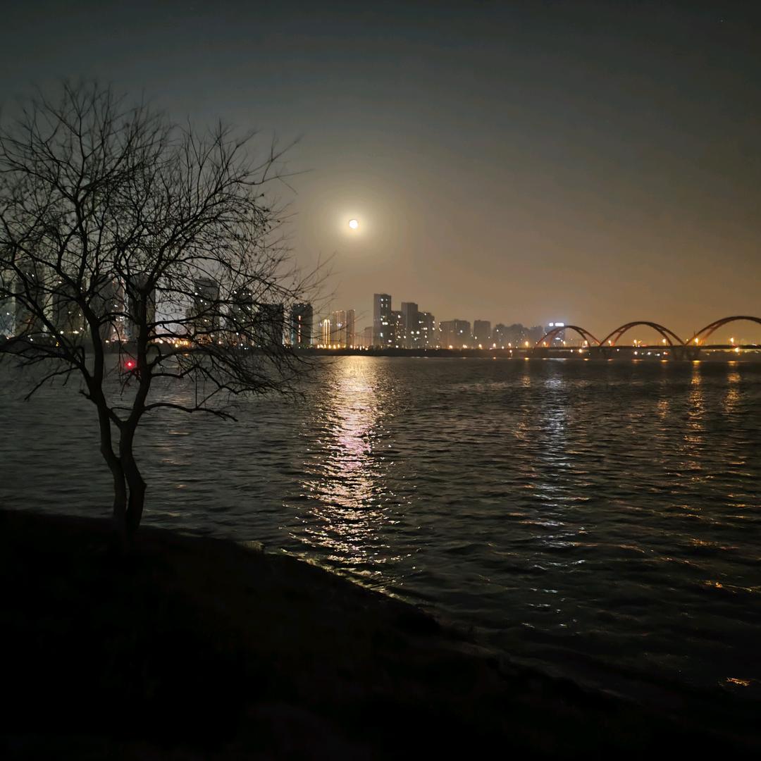 归去来兮辞