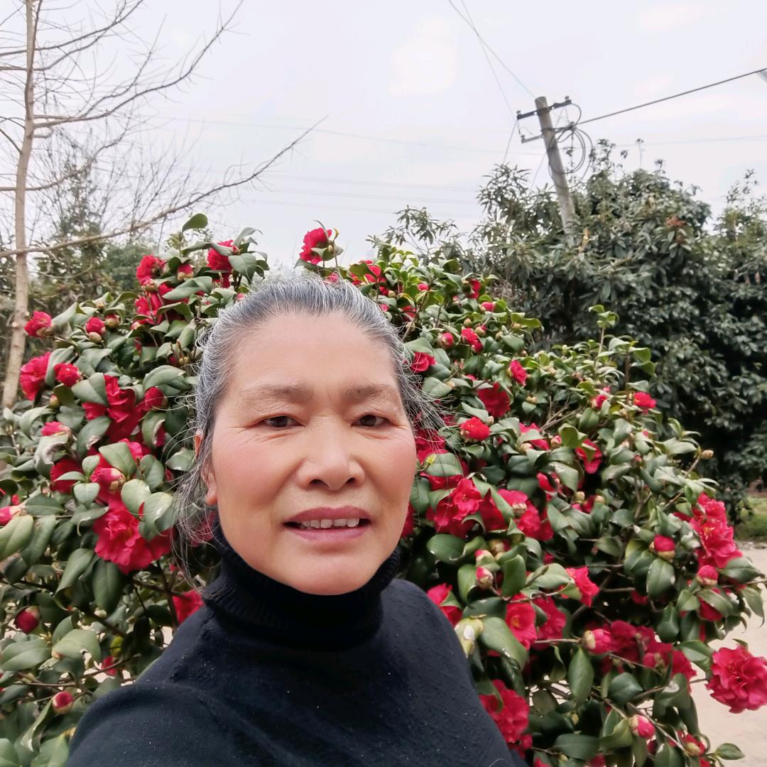 李翠英