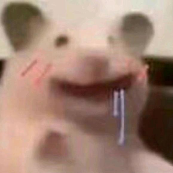 🌈一只仓鼠🐹