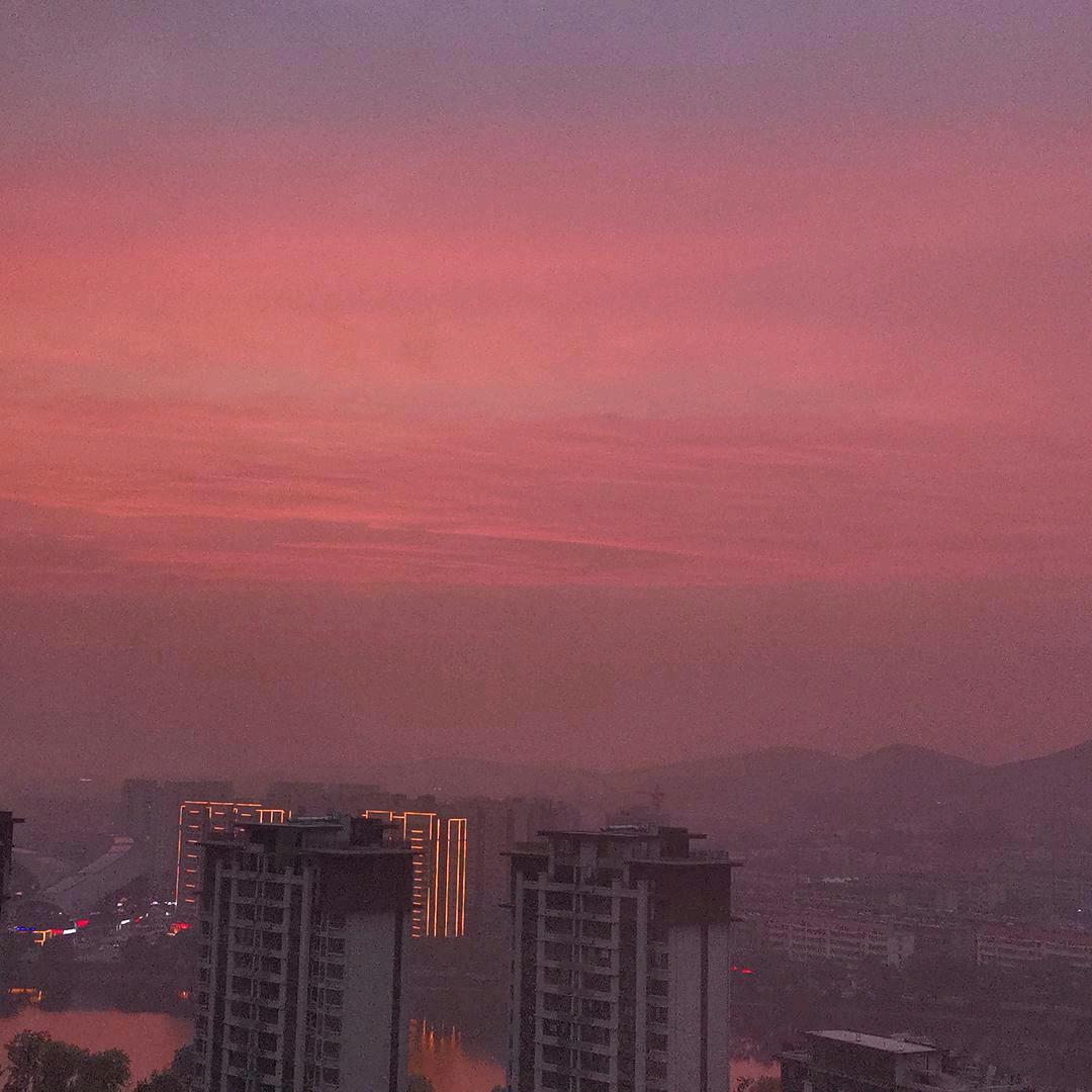 狗狗爱舔包
