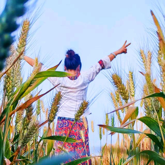 庄稼医院无人机飞行植保