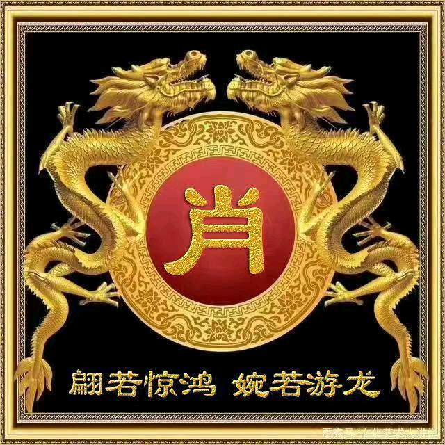 少陵布衣