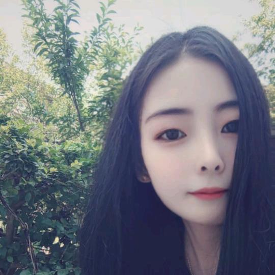 岁岁年年