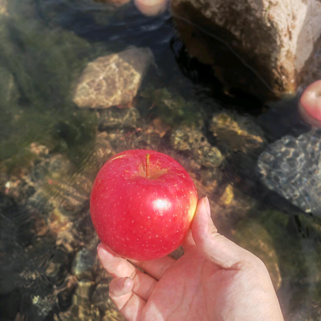 富岗苹果产地直发