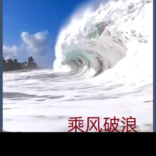 6228241981001153072头像