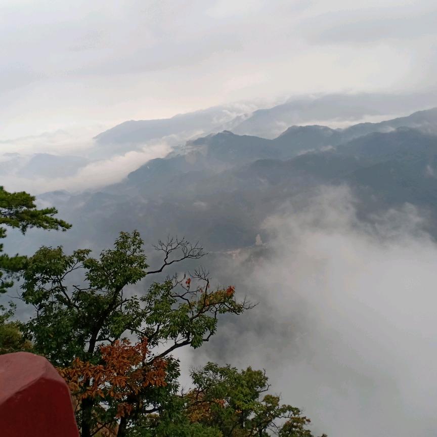 💖你不懂🤫