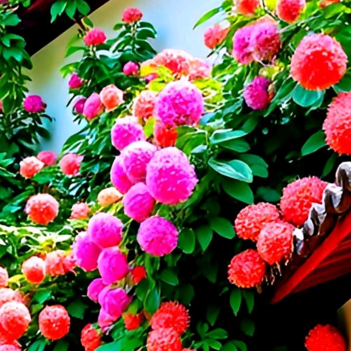 开 心~冯