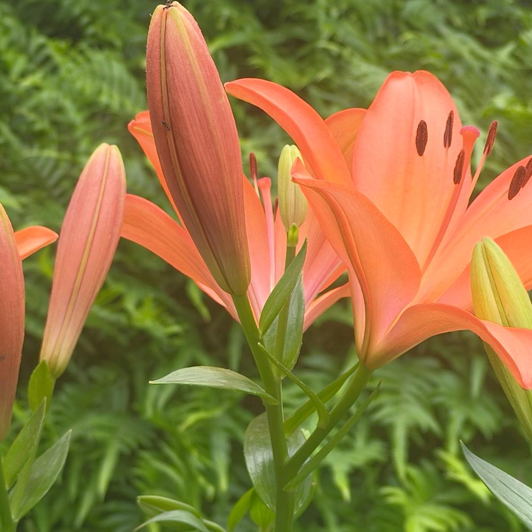 开心每一天🌹