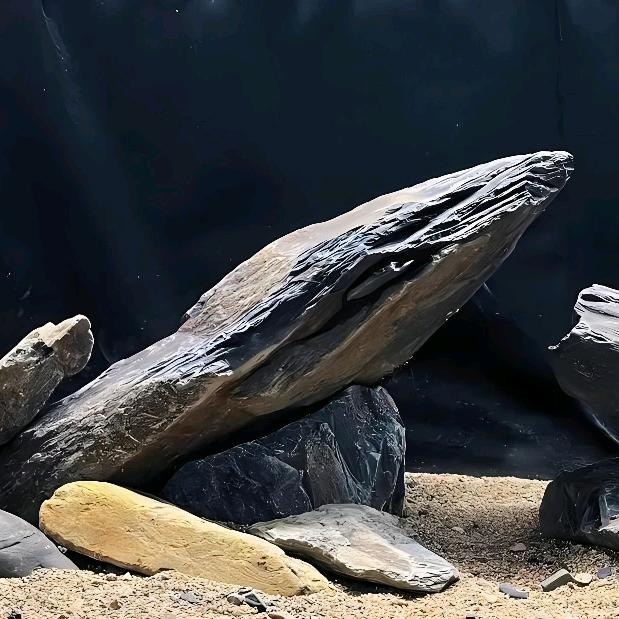 好养鱼真难，养好鱼更难，鱼养好最难！