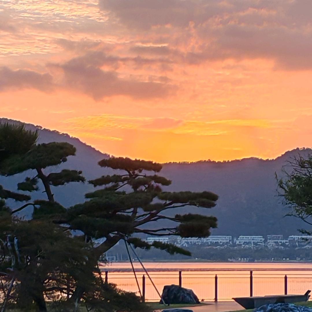 ✨ 小丫头✨