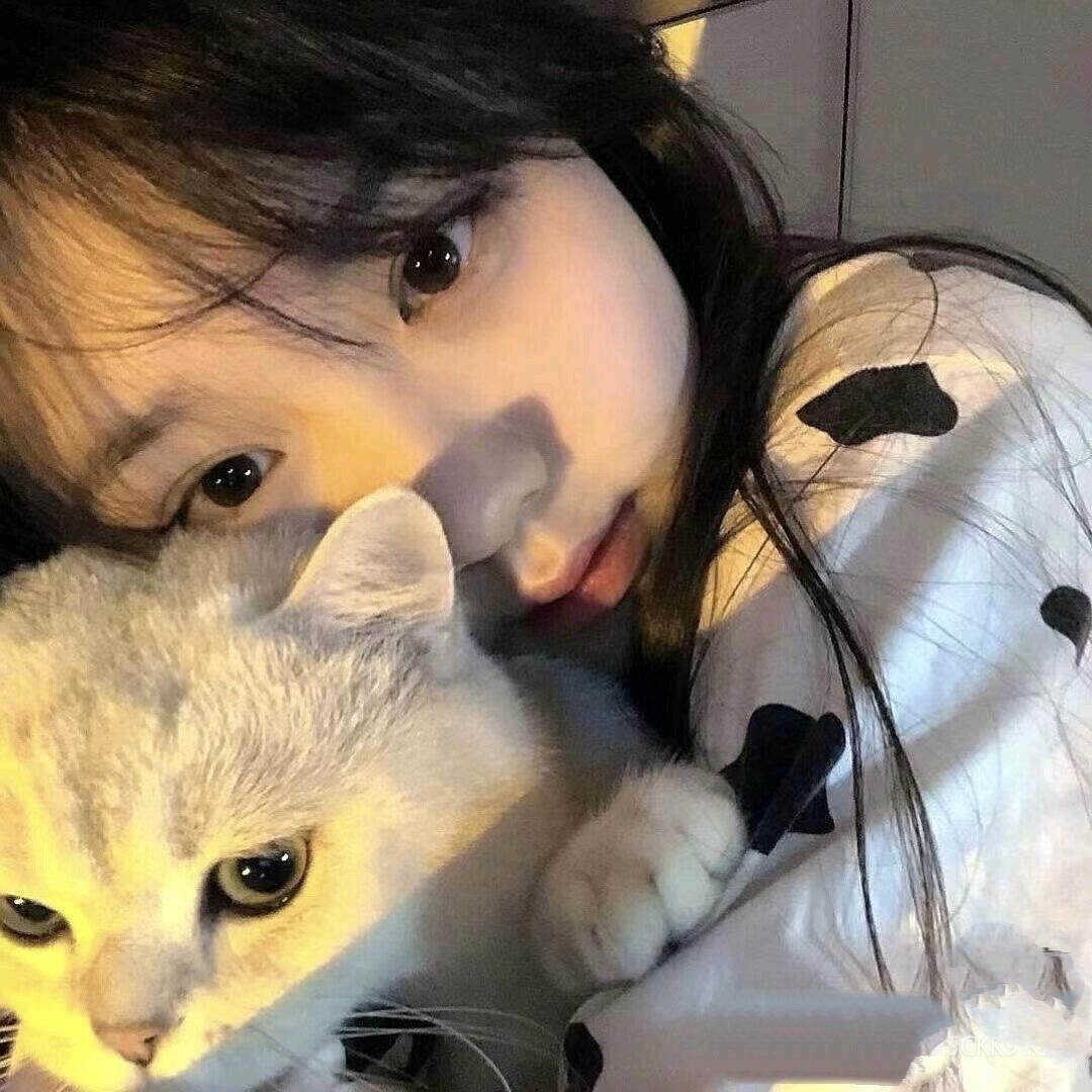 美美不美
