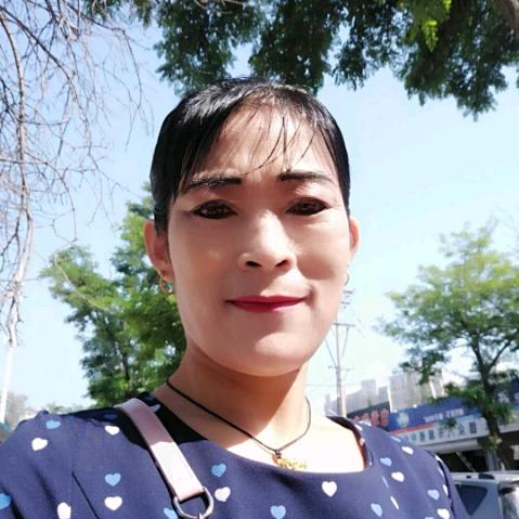 百灵鸟