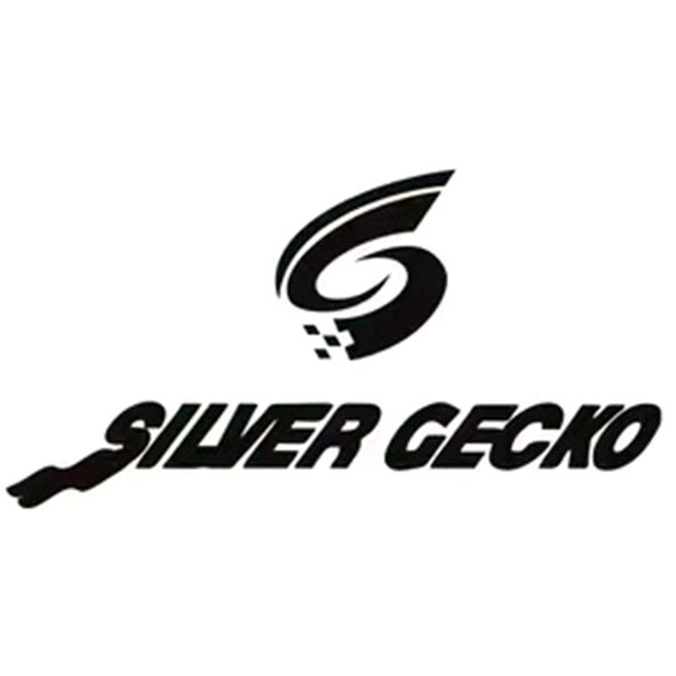 银壁虎 SILVER GECKO